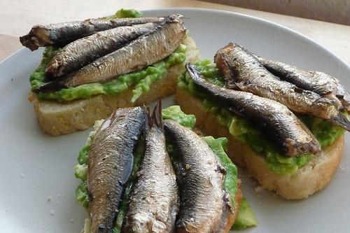 capelin에서 가정에서 식욕을 돋우는 sprats : 모든 취향에 대한 요리법