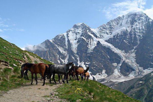 Elbrus 지역의 명소 러시아