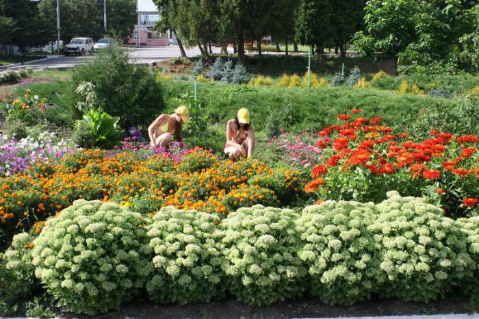 Saratov State Agrarian University 주소