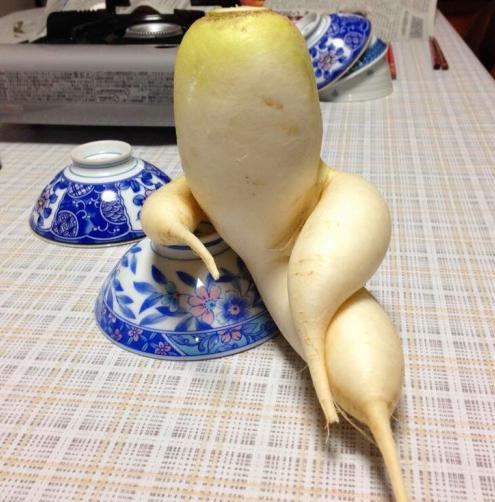 Daikon : 건강상의 이익과 해로움