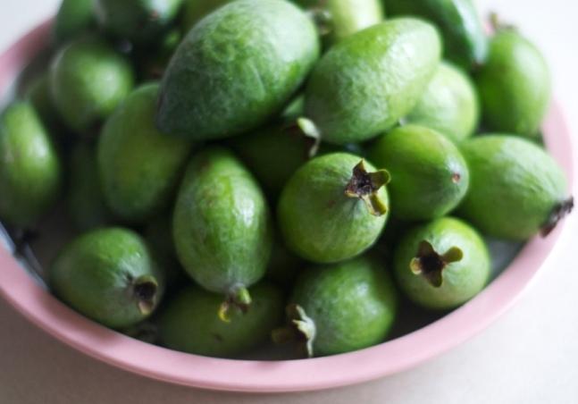 이국적인 과일 feijoa. 유용한 특성 및 금기 사항