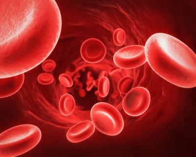 남성과 여성의 혈액에서 헤모글로빈의 표준은 무엇입니까?